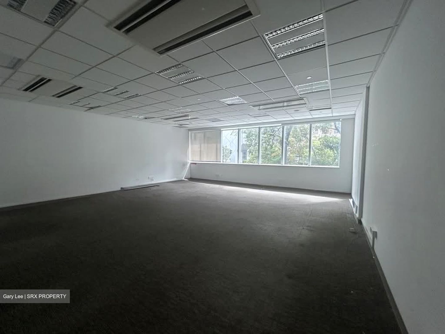 Tan Chong Tower (D7), Office #570063151